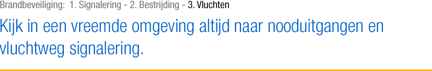 Vluchten