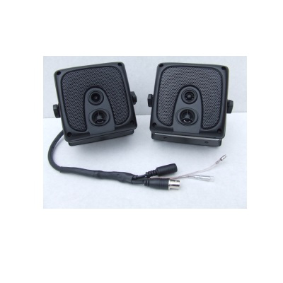 Recommand CCTV Luidspreker met verborgencamera