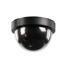 Recommand Dummycamera