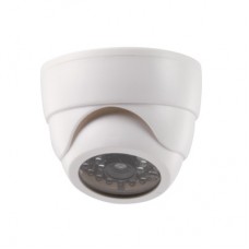 recommand Dummy Outdoor domecamera