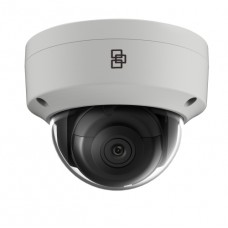 2Mpx TruVision IP Bol/Dome camera met vast objectief 2,8m