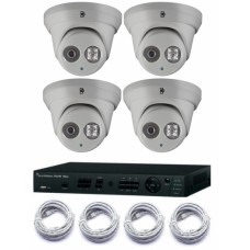 Truvision PoE 4 kanaals harddisk recorder set met 4x IP 2MP Full HD Turret camera 2,8mm 30m IR