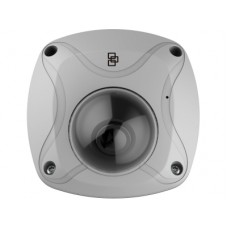 Truvision IP Wedge Panorama Camera met 3Mp en 1,6mm